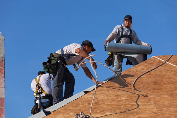 Best Shingle Roofing Installation  in Ann Arbor, MI