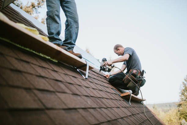 Best Metal Roofing Contractor  in Ann Arbor, MI